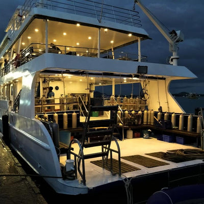 LIVEABOARD - 10 days/ 9 nights - M/V ANDAMAN QUEEN - Phi Phi, Shark Point, Koh Haa, Hin Daeng, Hin Muang, Koh Lipe, Similan, Koh Bon, Tachai, Koh  Surin, Richelieu Rock  (max 32 dives)